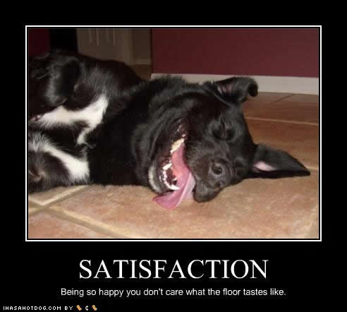 Happy picture brought to you by ihasahotdog.com. Happy picture brought to you by ihasahotdog.com.